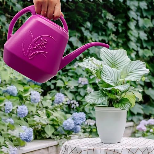 Plant Watering Can (Rose Red)