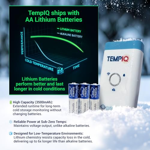 TEMPIQ Remote WiFi 2 (2-Pack (Lithium Batteries))