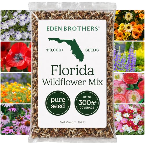 Florida Wildflower Mixed Seeds for Planting (4 Ounce)