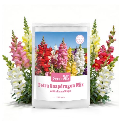 Mix Snapdragon Seeds Tetra