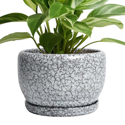 8 inch Plant Pot