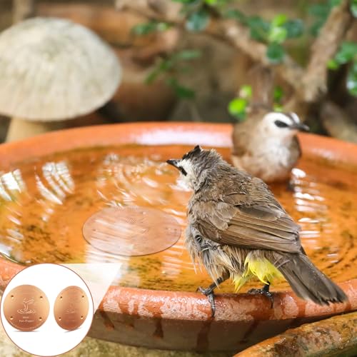 4'' Copper Disc for Bird Bath (Bird Pattern)