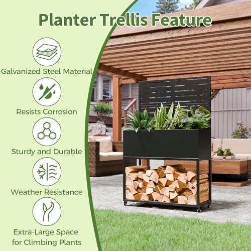 Metal Planter Box with Trellis (Black / 55"H x35"W)