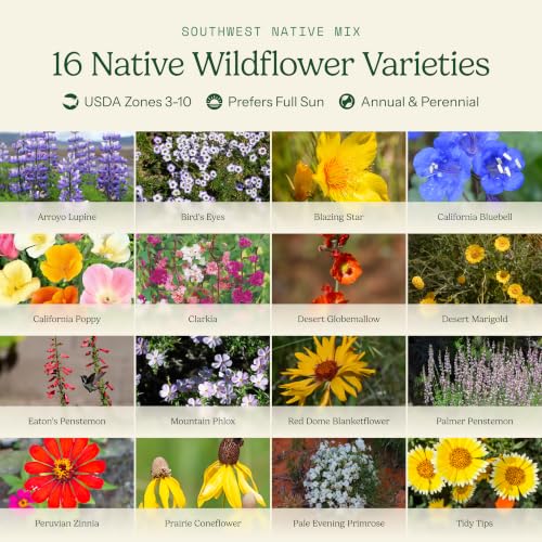 Native Southwest Wildflower Seed Mix (1 Ounce / Native Southwest)