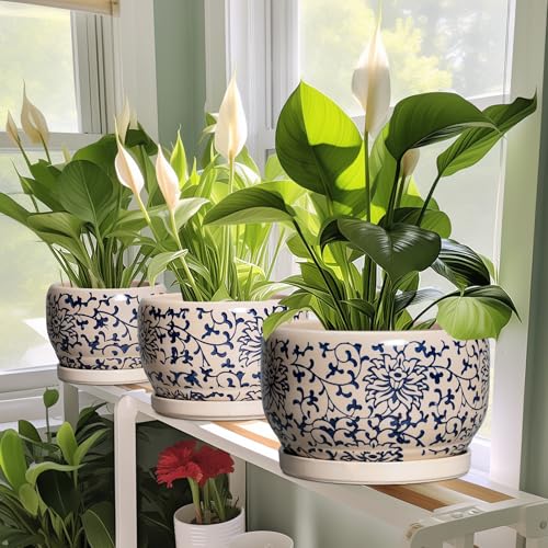 Ceramic Flower Pots