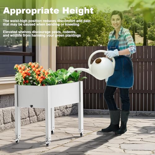 Horticulture Raised Garden Bed with Legs (Ashen / 30*17.72*28.9)