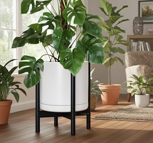 Ceramic Pot with Ebony Wood Stand (14 Inch / White Pot + Ebony Stand)