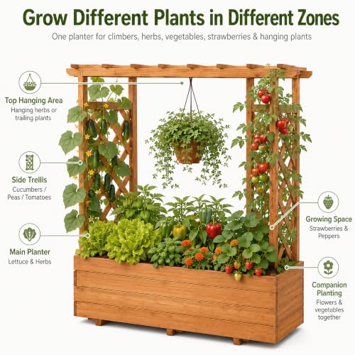 Raised Garden Bed with Arch Trellis & Hanging Roof for Climbing Plants (Brown / W55 x D17.5 x H44.5in)