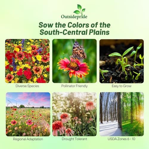 Texas & Oklahoma Wildflower Seed Mix (4 Ounce)