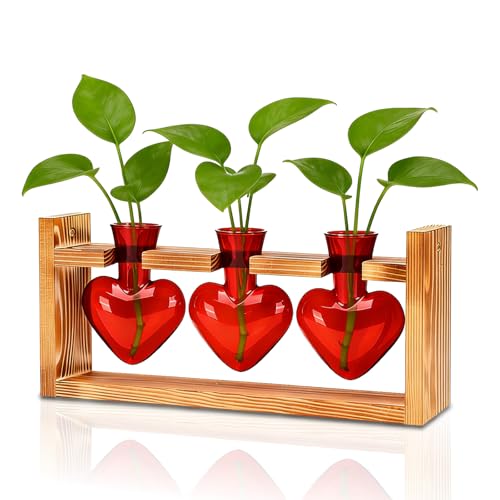 Plant Terrarium with Wooden Stand (Red)