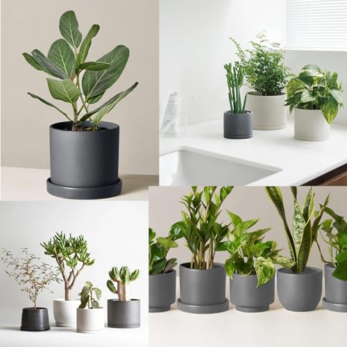 4 Pack Ceramic Plant Saucer Pot Tray 4 Inch ((4.5"/4.1")-4pack / Gray)