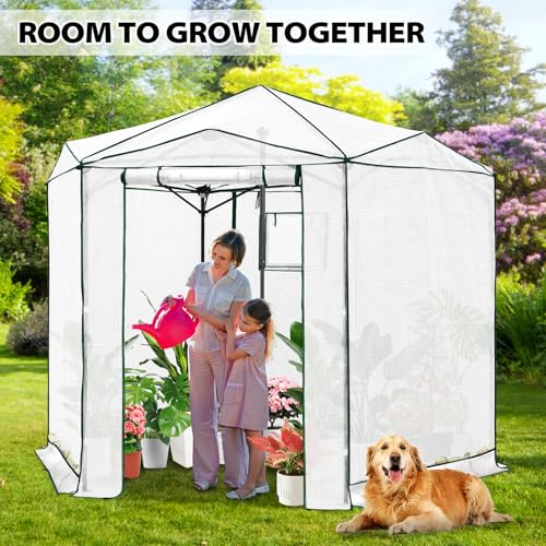 8.5x8.5 Easy Setup Pop Up Greenhouse (Clear/White / 8.5x8.5)