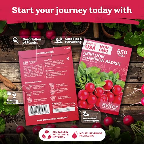 550 Champion Radish Heirloom Vegetable Seeds for Planting