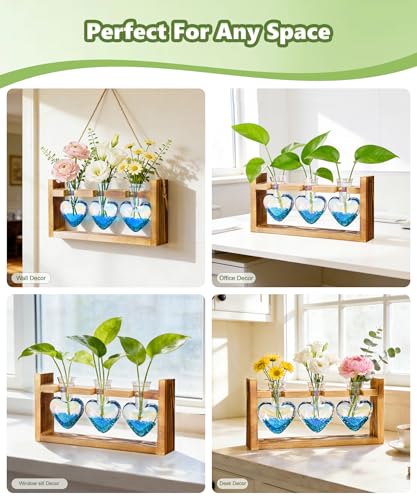 Plant Terrarium with Wooden Stand (Iridescent Clear)