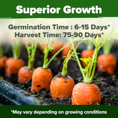 Tendersweet Carrot Seeds