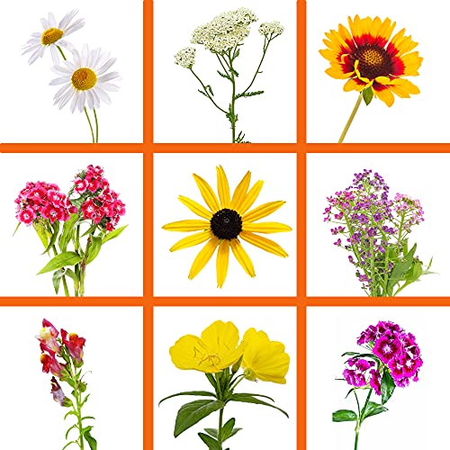 Sustainable Seed Co Wildflower Seed Bulk 2 oz 80 (Drought-Tolerant)