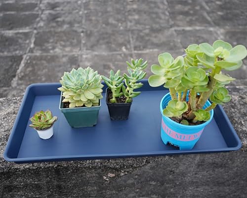 Plant Growing Trays 2 Pack (2 Count)