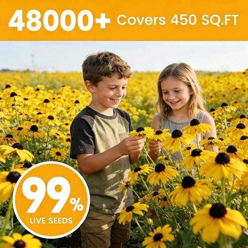 48000+ Black Eyed Susan Seeds for Planting