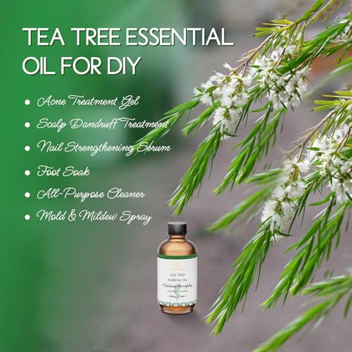 Tea Tree Oil for Skin (4 Fl Oz (Pack of 1))