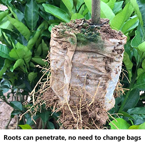 200Pcs Nursery Growing Bags (200 Count)