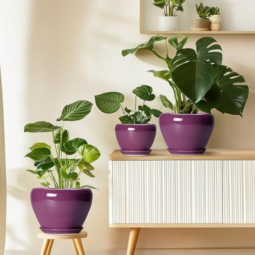 Ceramic Planter (8 Inch / Purple)