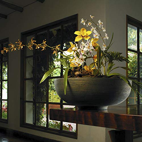 Orinoco Planter Bowl