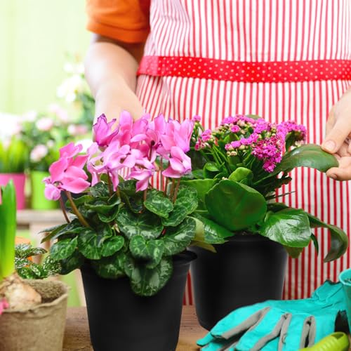 60Pcs 0.5 Gallon Plant Nursery Pots (60 Pieces 0.5 Gallon)