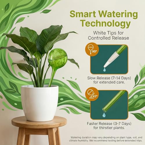 Large Plant Watering Globes 6 Pack (6 Count)