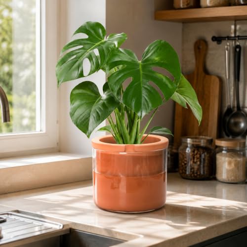 8 Inch Self Watering Planter (8" (1 Pack) / Terracotta)