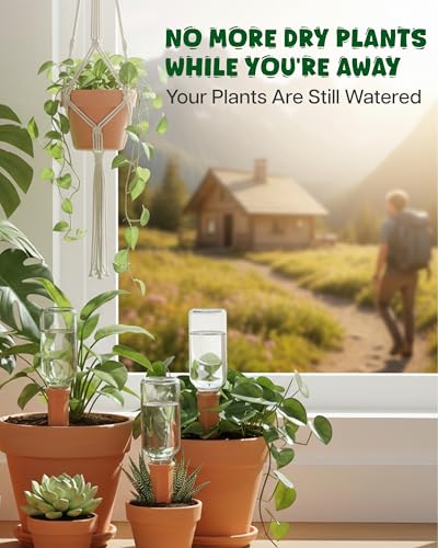Plant Watering Devices (Terracotta - 2 Pcs (Pack of 1))