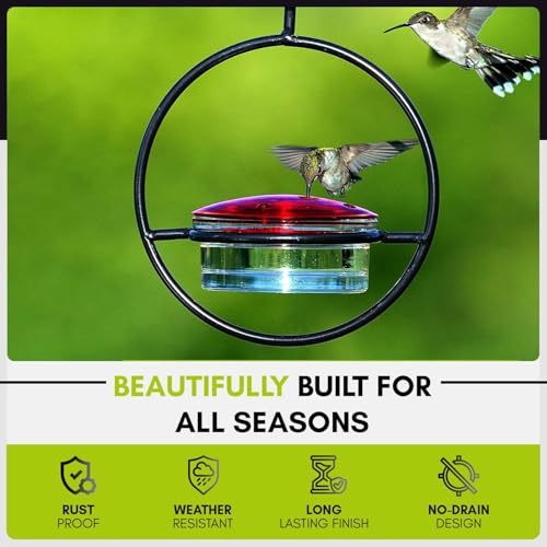 3 Pack Recycled Glass Slim Hummingbird Feeder