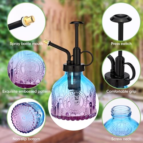 8 Pcs Glass Plant Mister Spray Bottle 200ml Vintage Plant Spritzer Multicolor Succulent Watering Bottle Watering Can 6.4'' with Plastic Top Pumps for Indoor Outdoor Garden Plants (Black)