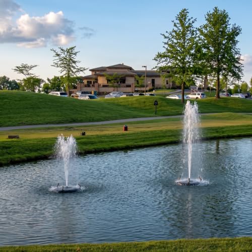 1 4 HP Floating Fountain & Aerator for Ponds and Lakes with 100 ft Cord (1/4 HP Pump / Color Changing Lights W/ Control Box)