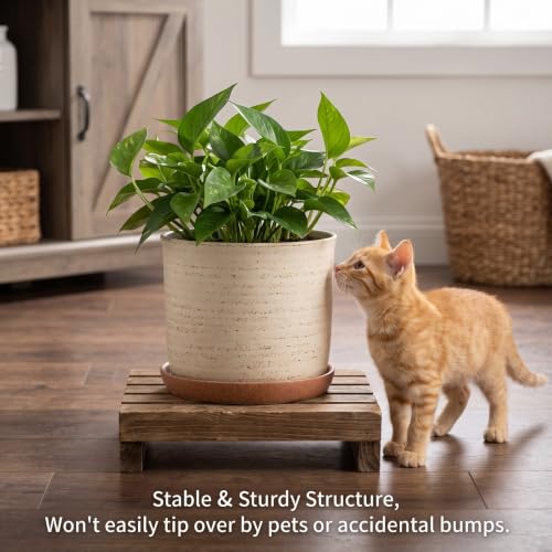 8 Inch Ceramic Plant Pot with Drainage Hole & Separate Saucer (Brush Color / 8 inch)