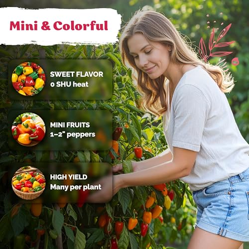 50 Mix Sweet Mini Peppers Heirloom Vegetable Seeds