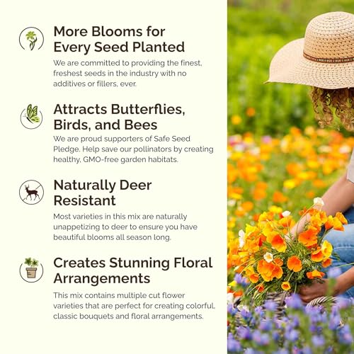 Wyoming Wildflower Mixed Seeds for Planting