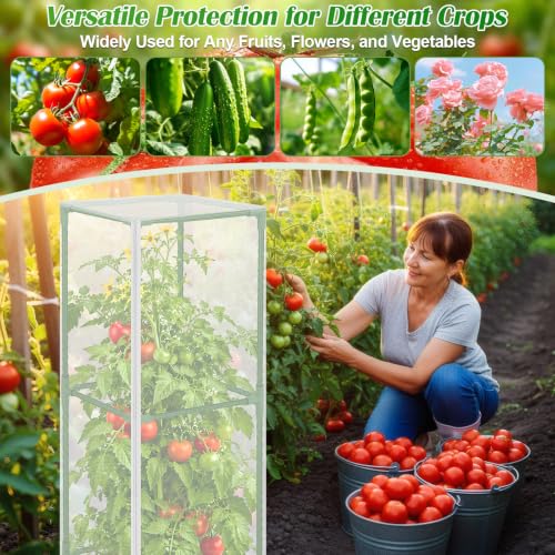2 Pack Square Tomato Cages with 2 Plant Covers (2 PACK with Plant Covers)