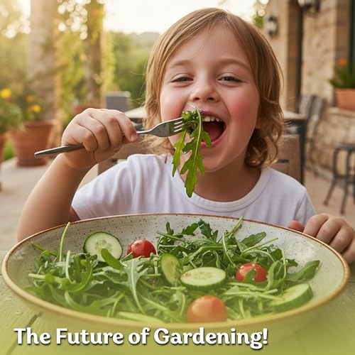 2 500 Roquette Arugula Heirloom Herb Seeds