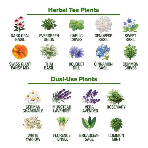 32 Medicinal Herb & Tea Variety Seeds Garden Kit
