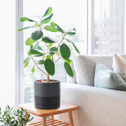 8 Inch Ceramic Planter Pot (Medium / Slate)