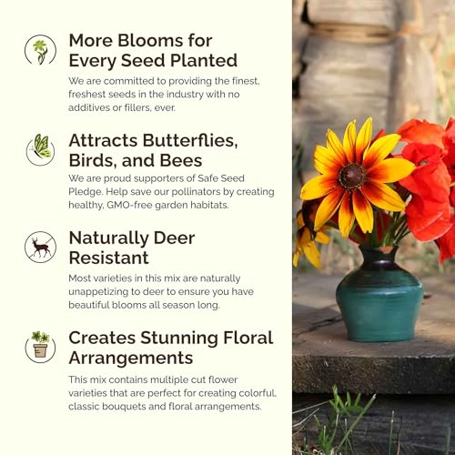 Virginia Wildflower Mixed Seeds for Planting