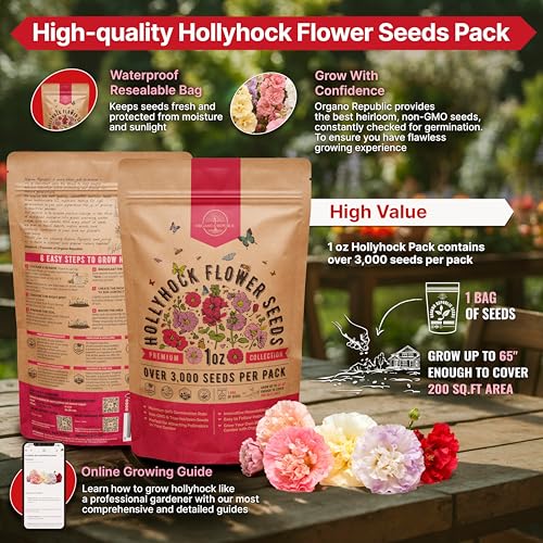 Hollyhock Flower Seeds Pack 1 oz