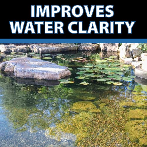 Barley Extract Pond Treatment