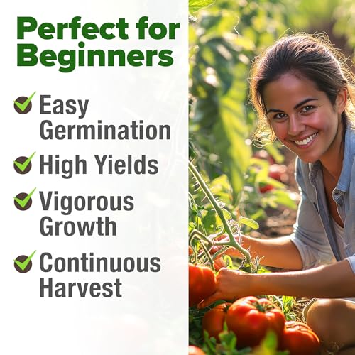 Beefsteak Tomato Seeds (2 Count)