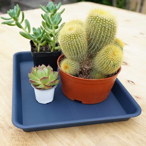 4 Pack Plant Saucer Tray Rectangular (4 Count)
