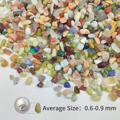 10LB Colorful Pebbles for Succulent (160 Ounce)