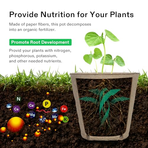 3.15“ Peat Pots (30 Count)