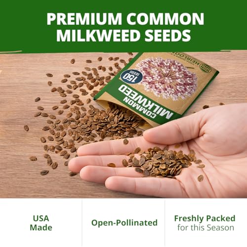Common Milkweed Seeds