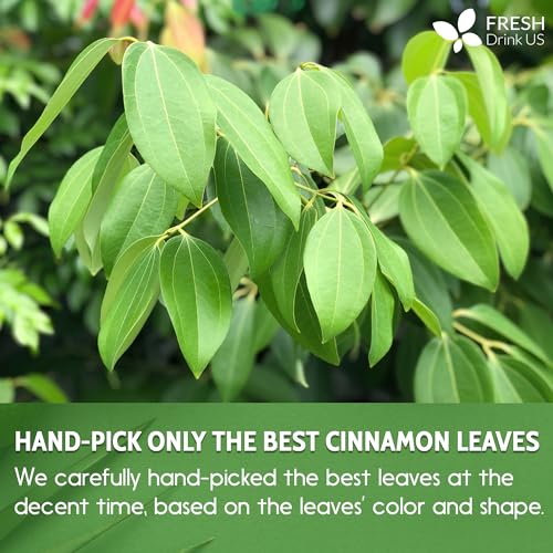 50+ (3oz) Natural Cinnamon Leaves, Whole Dried Cinnamon Leaves, 100% Pure from Dried Cinnamon Leaves, Cinnamon Leaf Tea, No Additives, No Caffeine, Vegan (50 Count)