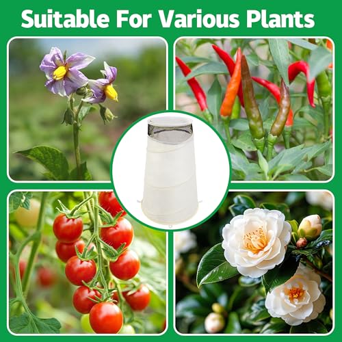 Purple Star 3 Pcs Pop Up Rose Cones for Winter Protection (White-3Pcs)